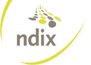 logo-ndix